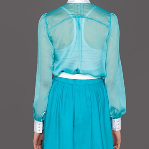 Jane shirt. Sheer button down Top . - Picture 2 of 7